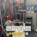 바오핏가락문정 이미지