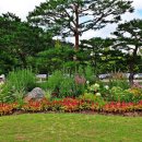 부천자연생태공원 이미지