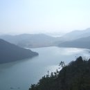 돈바우