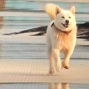 기봉이 농장 이미지