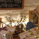 동탄프라임유치원 이미지