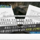 알콩달콩 흑염소 이미지