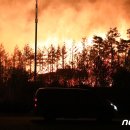 동해안주유소 이미지