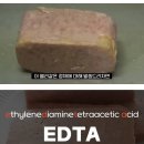 지금,돼지 이미지