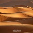 사막커피 이미지