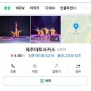 제주아트 서커스 이미지