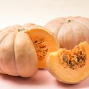 호박스포츠 이미지