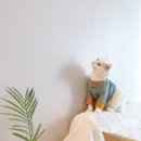 영남유외과의원 네이버블로그