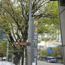 케이비에스 | 준오헤어 KBS별관점 염색 후기｜애매한 머리색 탈출...애쉬올리브브라운 성공✌️