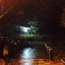 피자스쿨산본 이미지