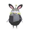 주은정수 이미지