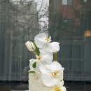 관저북로 | [대전 돌잔치 후기💛] 관저 블레싱 / 환필름 / 양희당 / 어나더케이크 / 별하당 / 사이메이크업...