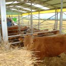 해맑은농장 이미지