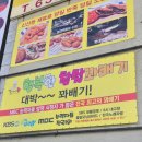 대박꽈배기&까페24