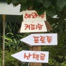 메밀촌 봉평막국수