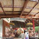 몽키댄스 | 인도네시아 여행기(몽키 포레스트,캄푸한 릿지,케착댄스(kecak)공연관람 후기)
