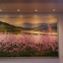 보령시청 이미지