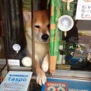 흔한가게 이미지