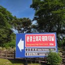 루다와인상점문경 | [문경 명소] 문경오미자테마터널 방문 후기🍒(내돈내산)