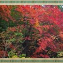 철암케어센터 이미지