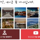 코바렌터카 이미지