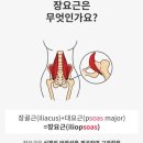 인더핏피트니스 이미지