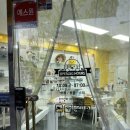 강아지를 미용하는 여자 | 일산 풍동 강아지 애견미용 펫트리