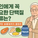 노인에게 꼭 필요한 단백질 종류는? | 식단부터 보충제까지 총정리 이미지