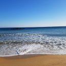 동해바다 이미지