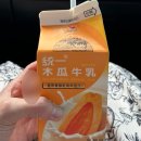 [대만] 가오슝/컨딩 렌트카 여행 ⑤ 국립해양생물박물관 (벨루가, 펭귄 있음) / 핑둥 맛집 펑만