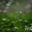 섬진축산 이미지