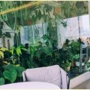 머드광장 이미지