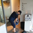 크린오케이 이미지