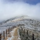 새벽엔지니어링 | AI에게 '더 재미있게 써줘'라고 했더니 — 등산 후기 문체 변환 실전기