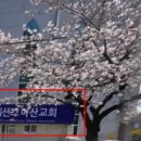 회원동193 이미지