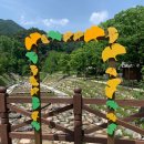 세무회계세흥 이미지