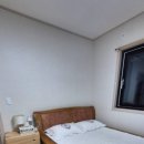 느티나무집민박 이미지