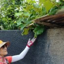 익환농장 이미지