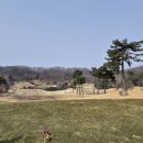 에덴블루CC 네이버블로그