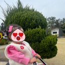 재운농장 | 18개월 아기와 제주 로그밸리 펜션 체험기 (동물농장 +말타기 후기)