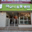 쿠쿠펫길동물병원 티스토리