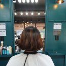 보니헤어 이미지