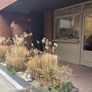 모뎐 | 홍대 에그타르트 맛집 모뎐 카페, 촉촉한 디저트 카페 후기