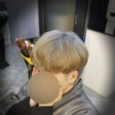 디아르헤어 이미지