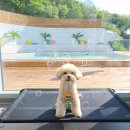 데이오프파주 이미지