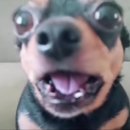 나인상사 | [공기업 정규직 취직 후기] 이제 나도 어엿한 직장인