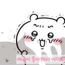 고슴도치 마을의 촌장🦔‎🤍#42 이미지