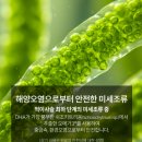 다팜 | 지엠팜 임산부 식물성 오메가3 후기 비린내 없어서 끝까지 먹게 되는 DHA 1000 추천