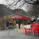 김유정로 | 춘천 베어크리크cc 3월 잔디 컨디션 라운딩 후기