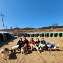 예림패밀리주